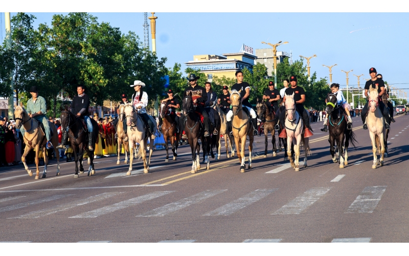 天馬故鄉(xiāng)昭蘇縣舉辦汗血馬巡游活動